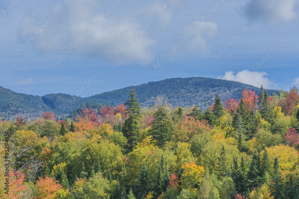 The bright colors of Adirondack autumn scenery on a sunny day. The bright colors of Adirondack autumn scenery on a sunny day.
