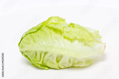 Baby Cos lettuce isolated on white.