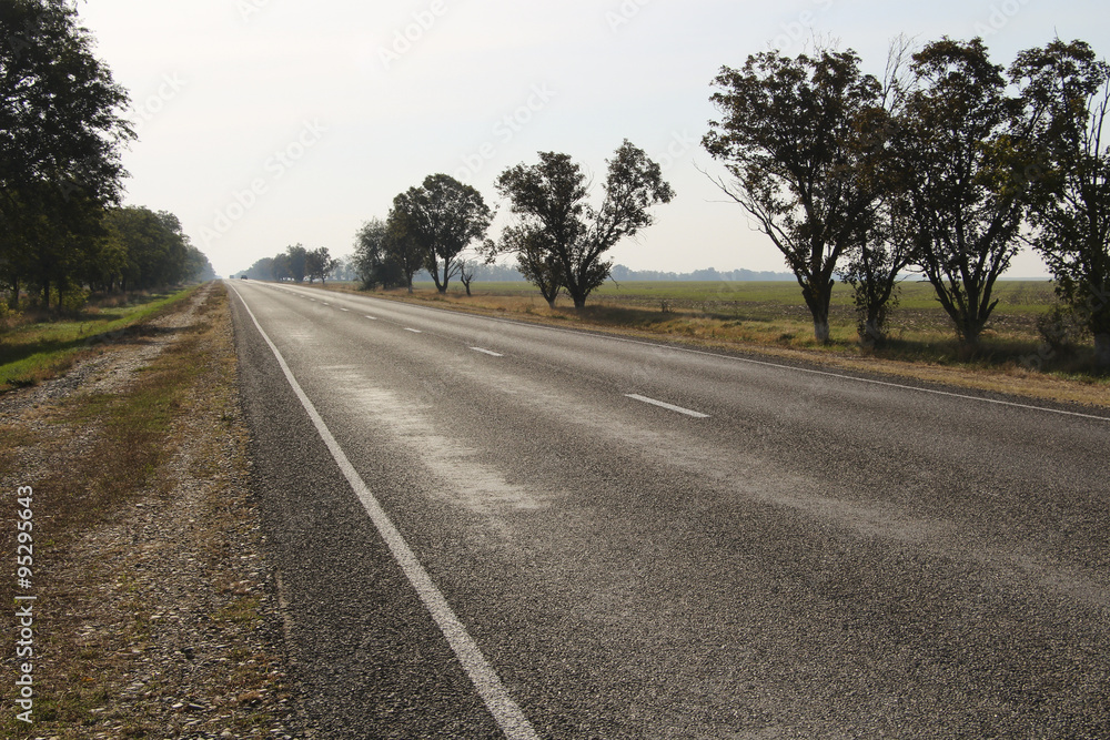 Fototapeta premium Asphalt road and roadside