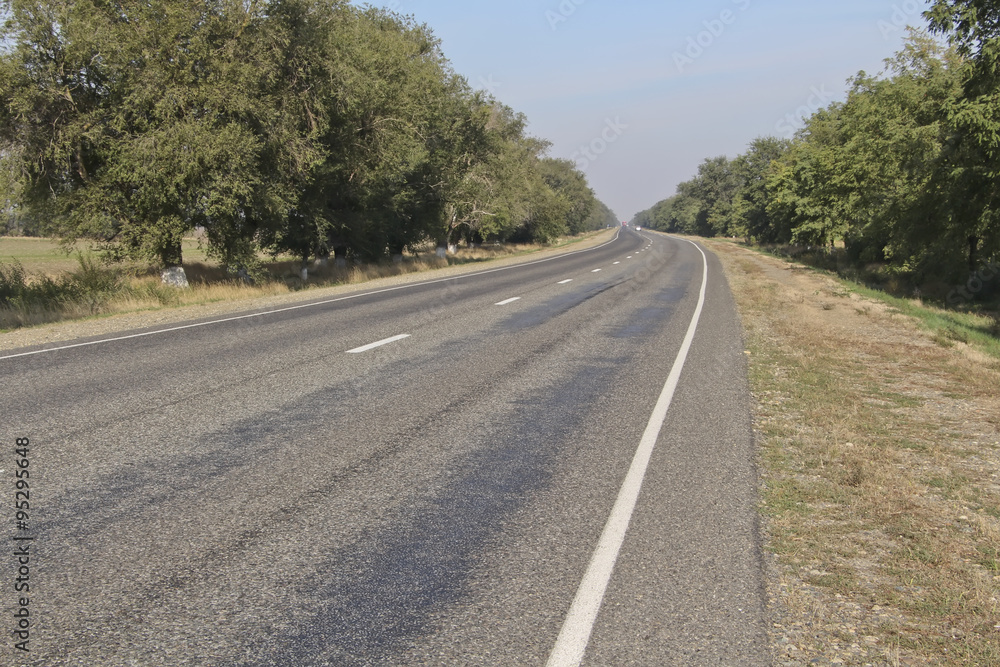 Asphalt road with trees both sides