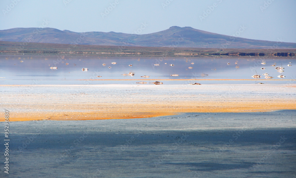 Koyashskoye salt lake