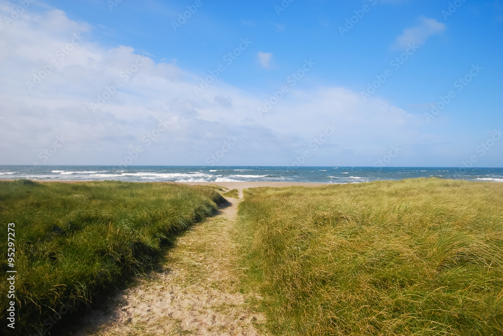 Sand path leading to the North sea