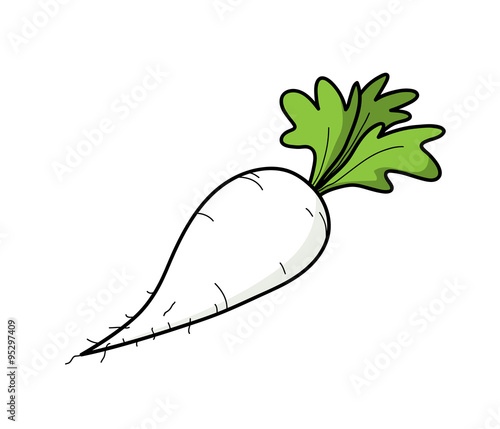 Radish, a hand drawn vector illustration of a radish (Raphanus Sativus).