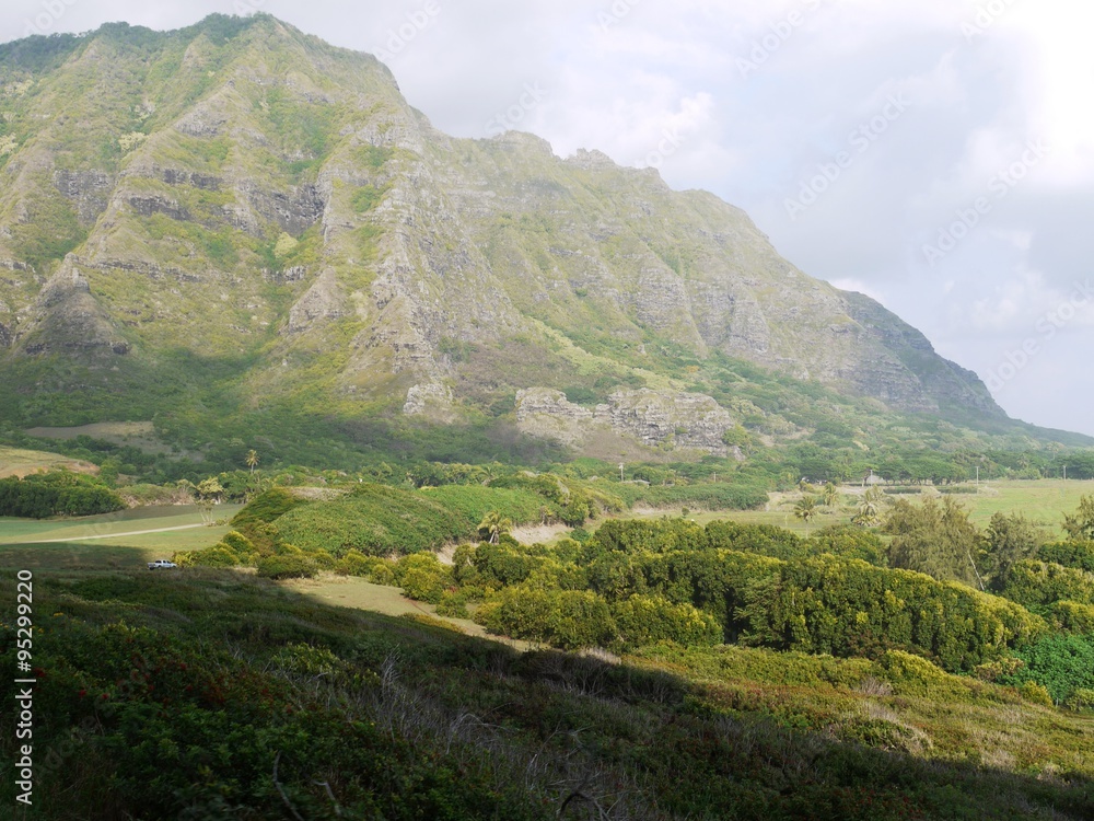 Naklejka premium ハワイ