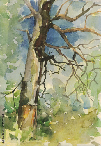 Big old tree in the forest. Watercolor painting © zatelepina