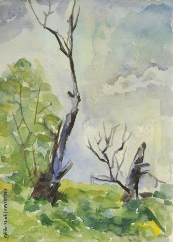 Old trees in the forest. Watercolor painting © zatelepina