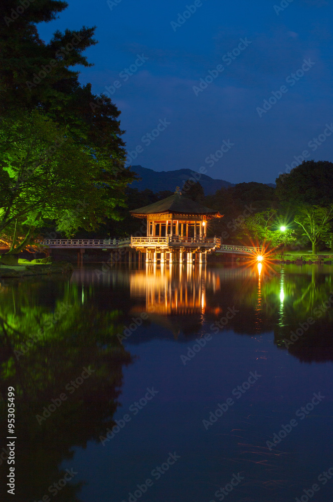 Obraz premium Ukimi-do Hall,nara,japan（奈良・浮見堂の夜景）