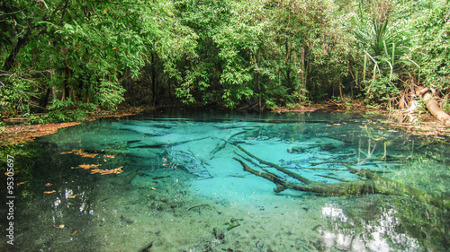 Fototapeta Naklejka Na Ścianę i Meble -  Emerald Pool is unseen pool in mangrove forest at Krabi in Thailand.
