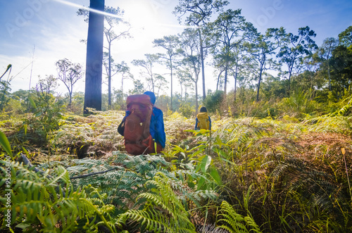 Wallpaper Mural Hiker walking in field Torontodigital.ca