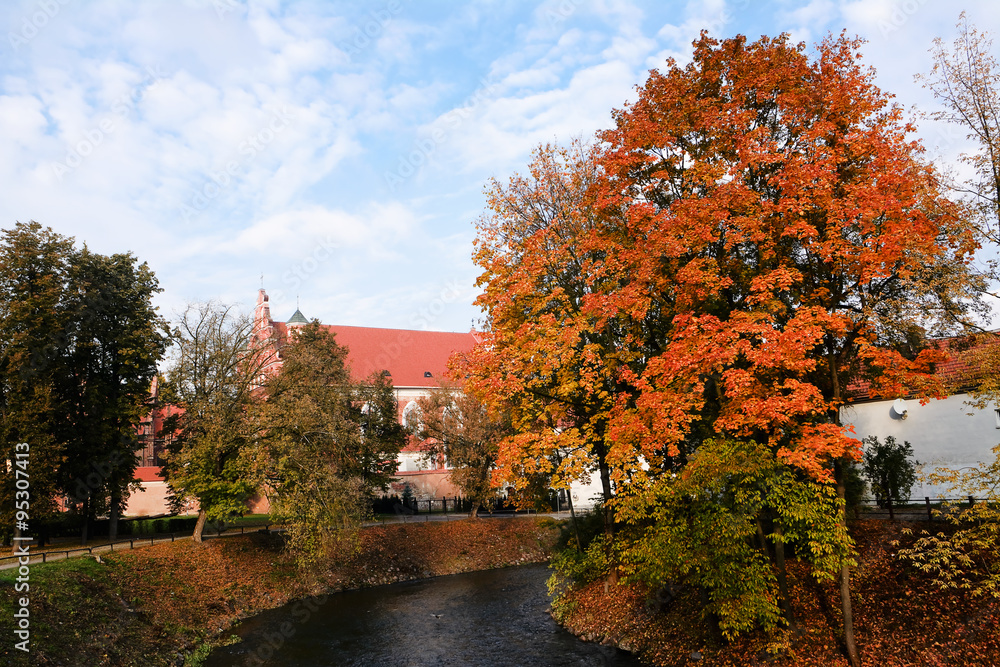 Vilnia river in autumn