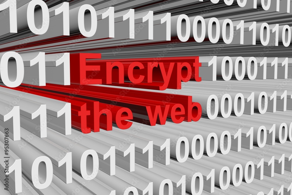 encrypt the web is presented in the form of binary code
