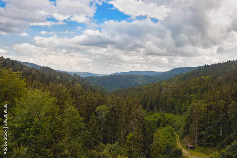 Panaramnym view of the mountains of the Black Forest