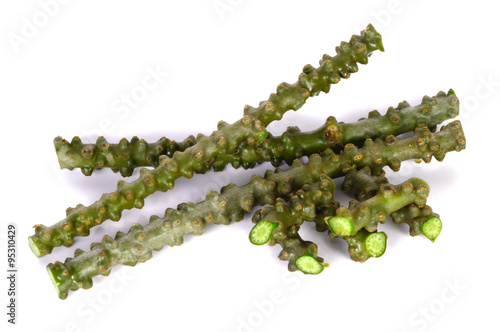 Tinospora cordifolia herb on white background photo