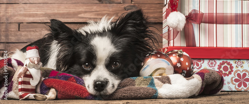 Canvas Print Dogs Christmas greeting templates