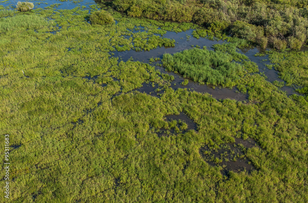 aerial view of the wetland near Otmuchow town