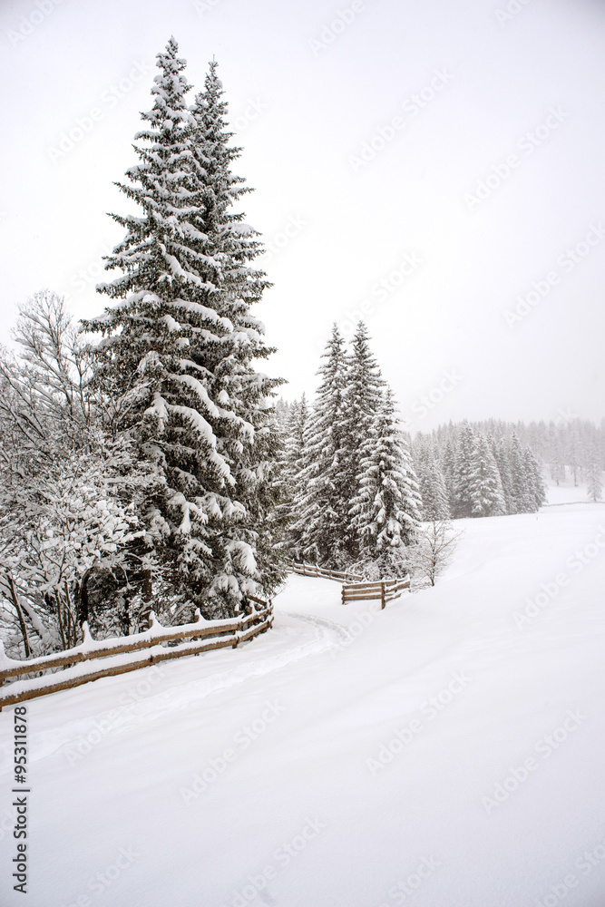 Obraz premium Winterlandschaft