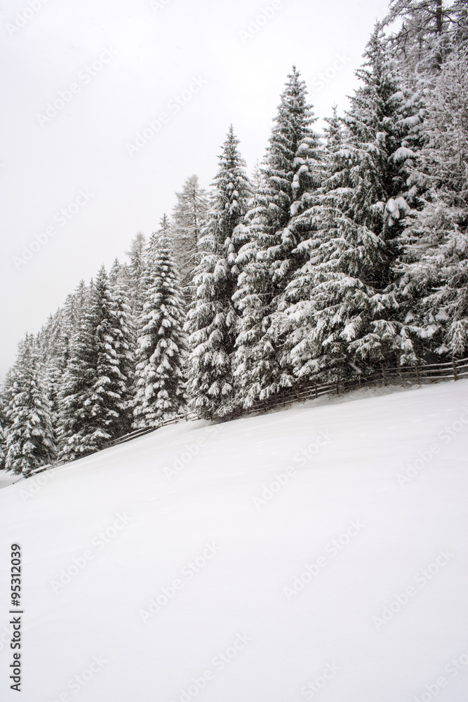 Naklejka premium Winterlandschaft