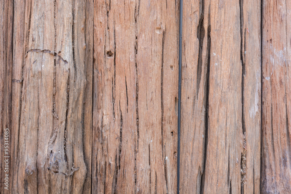texture old tree wood