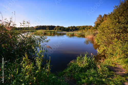 Fototapeta Naklejka Na Ścianę i Meble -  Summer landscape at the lake
