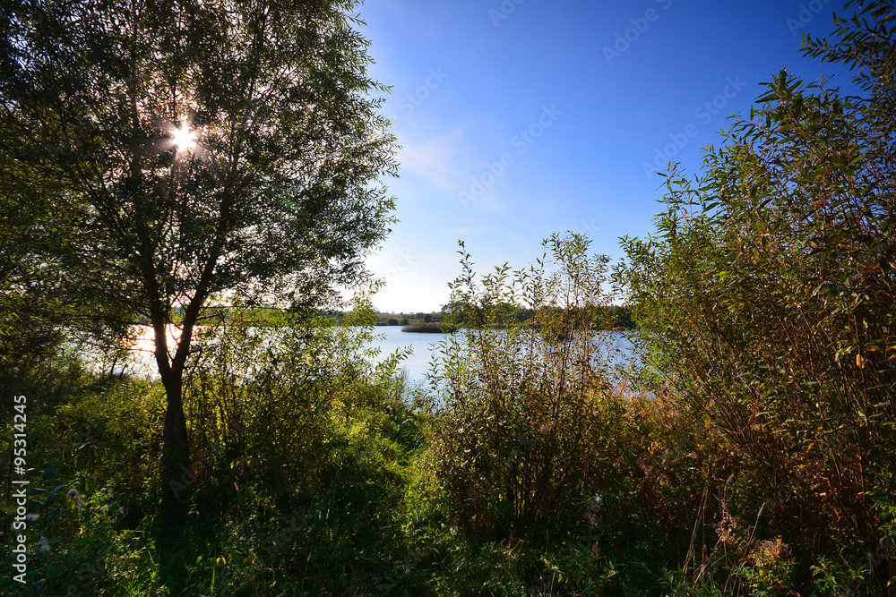Summer landscape at the lake