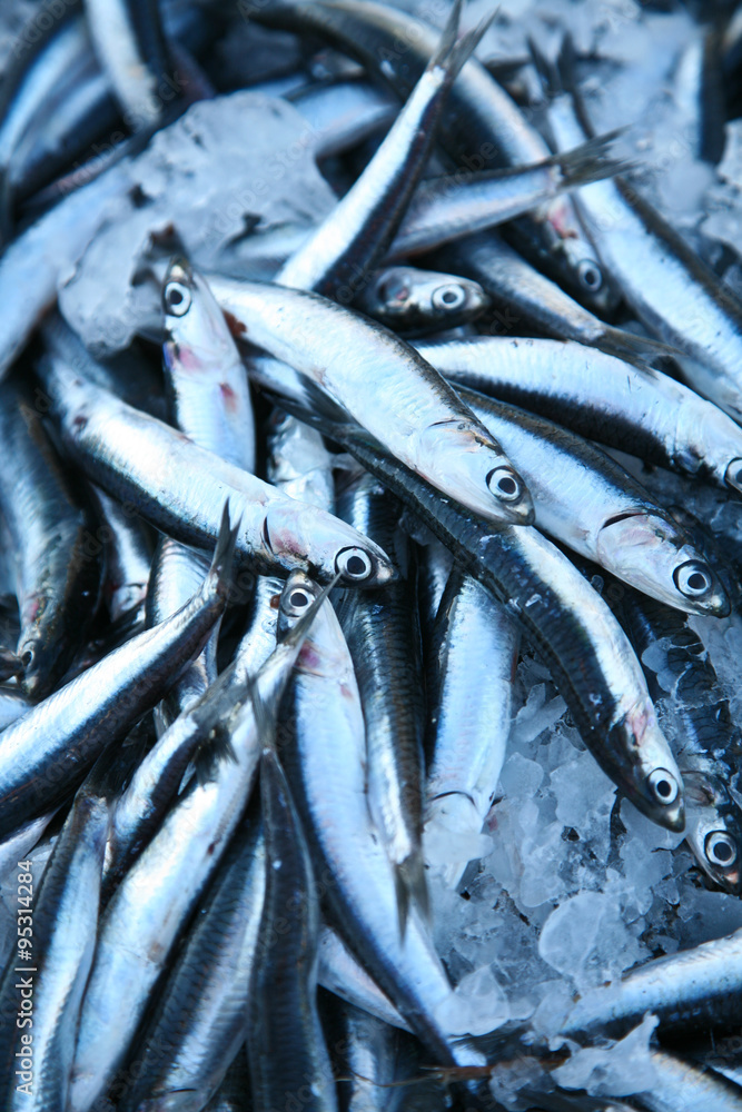 Fototapeta premium Fish market