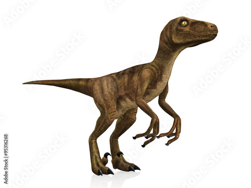 3D model Velociraptor isolated on white background photo