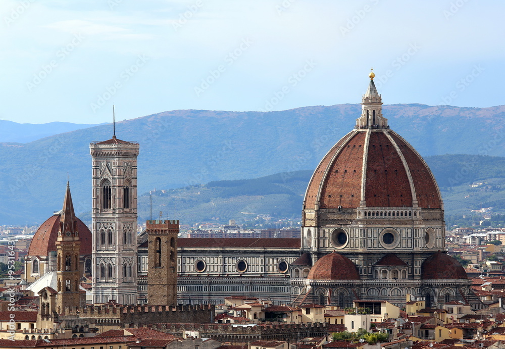 FLORENCE perfect panoramic view everything in focus after the st