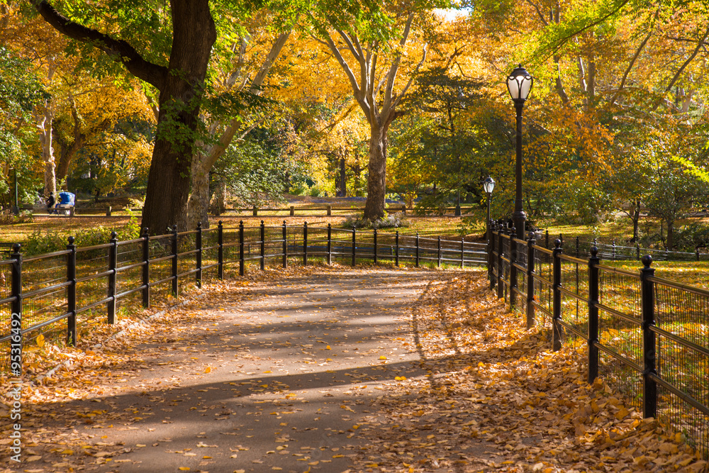 Scenic path through Central Park in New York City Scenic path through Central Park in New York City