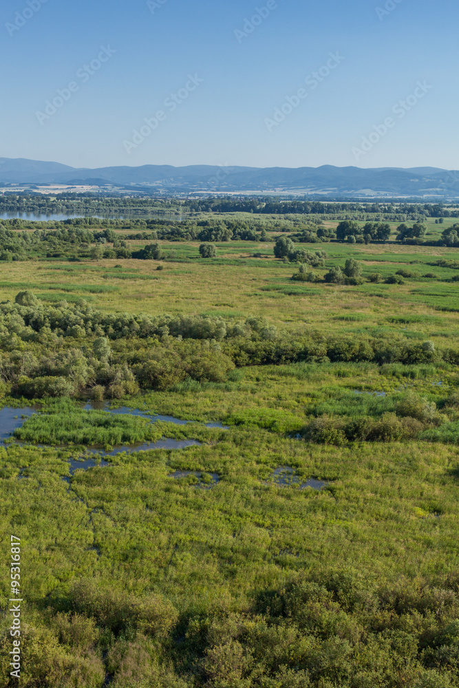 Obraz premium aerial view of the wetland near Otmuchow town