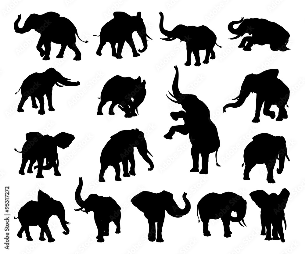 Fototapeta premium Elephant Animal Silhouettes