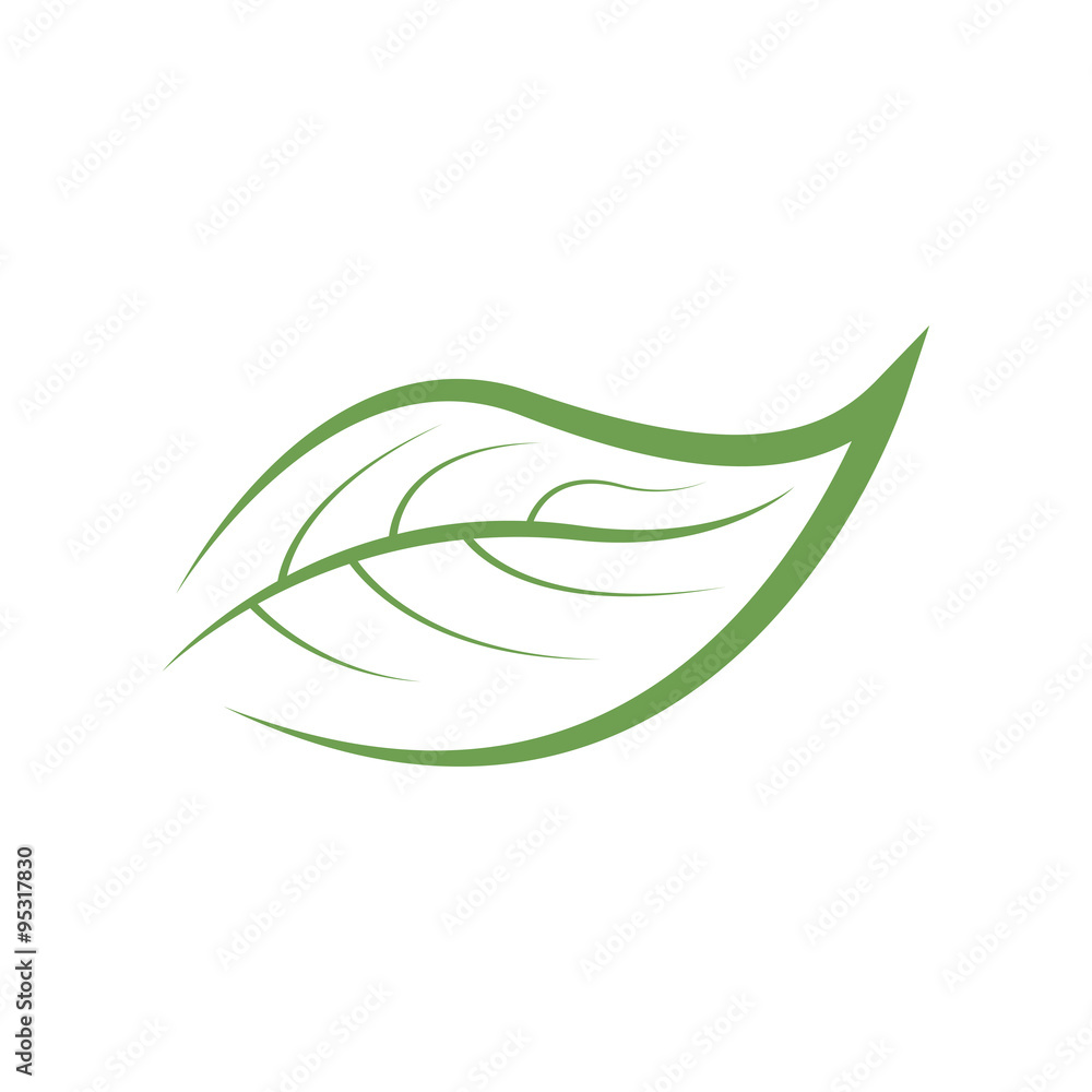 Fototapeta premium unique leaf