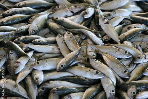 kleine frische Fische auf dem Fischmarkt