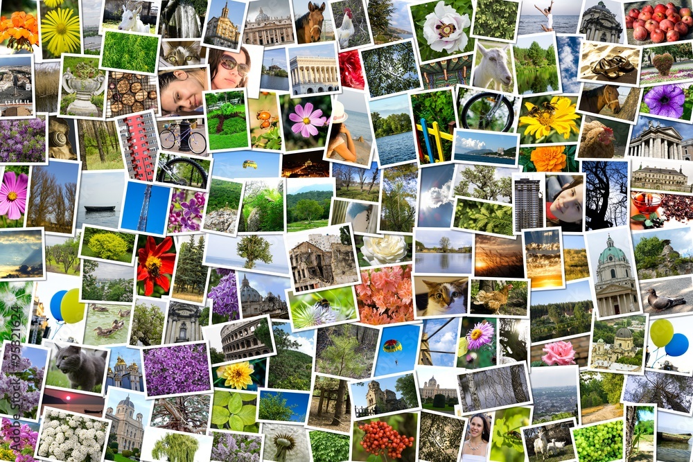 Collage Rules Com