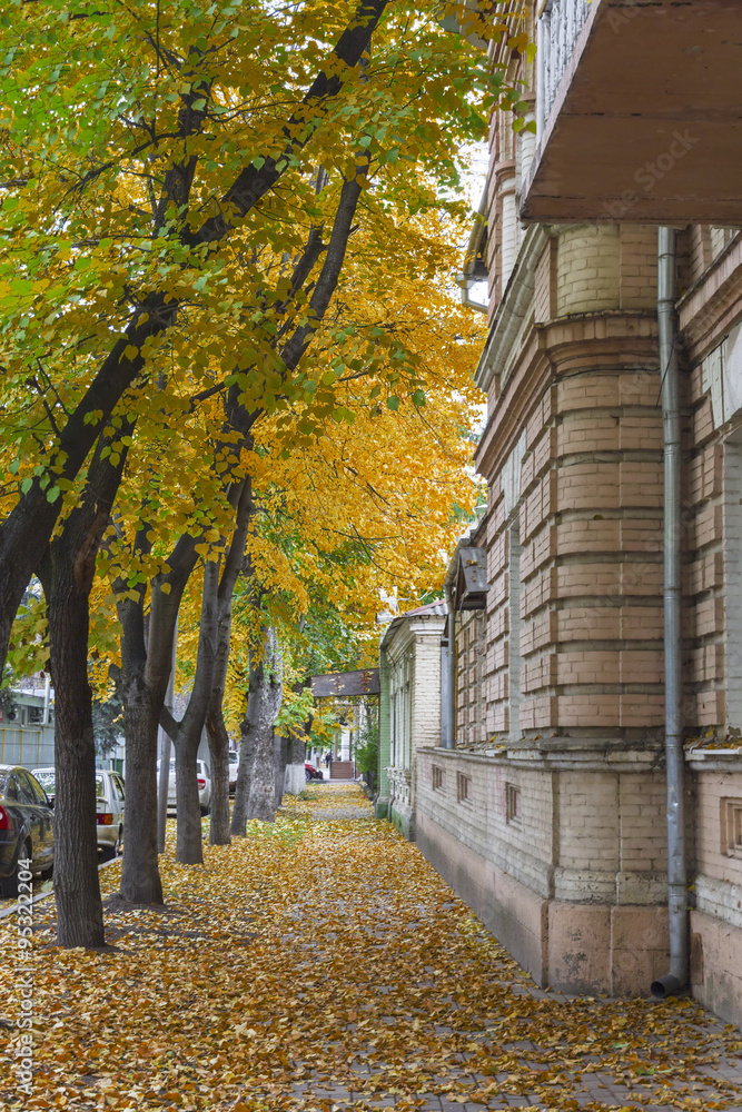 Naklejka premium Old city street.
