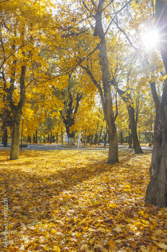 Autumn Park