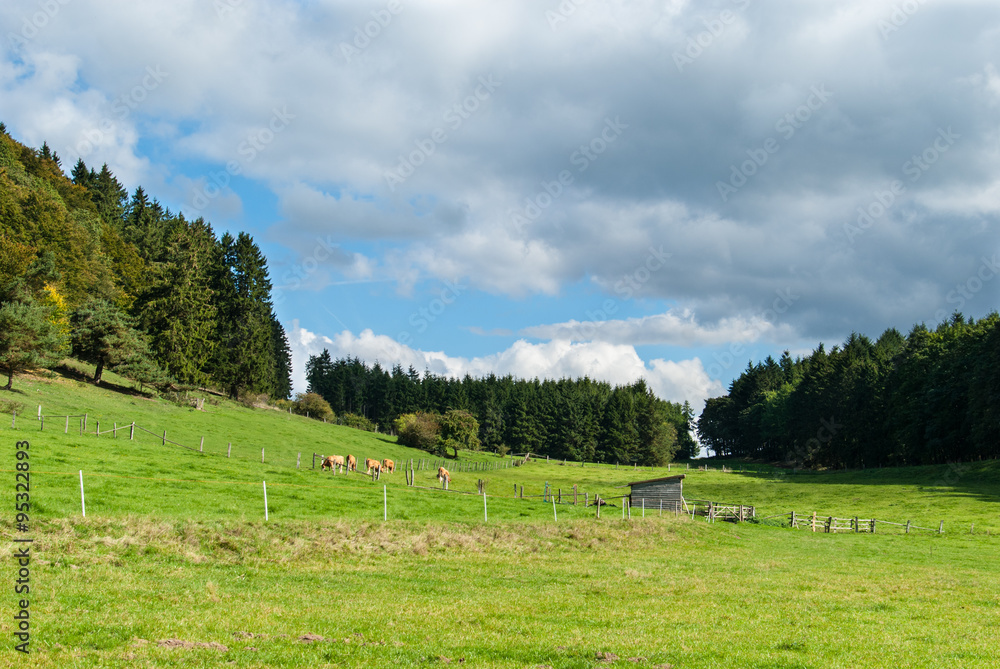 Obraz premium Łąki między Winterkopf i Weddelberg