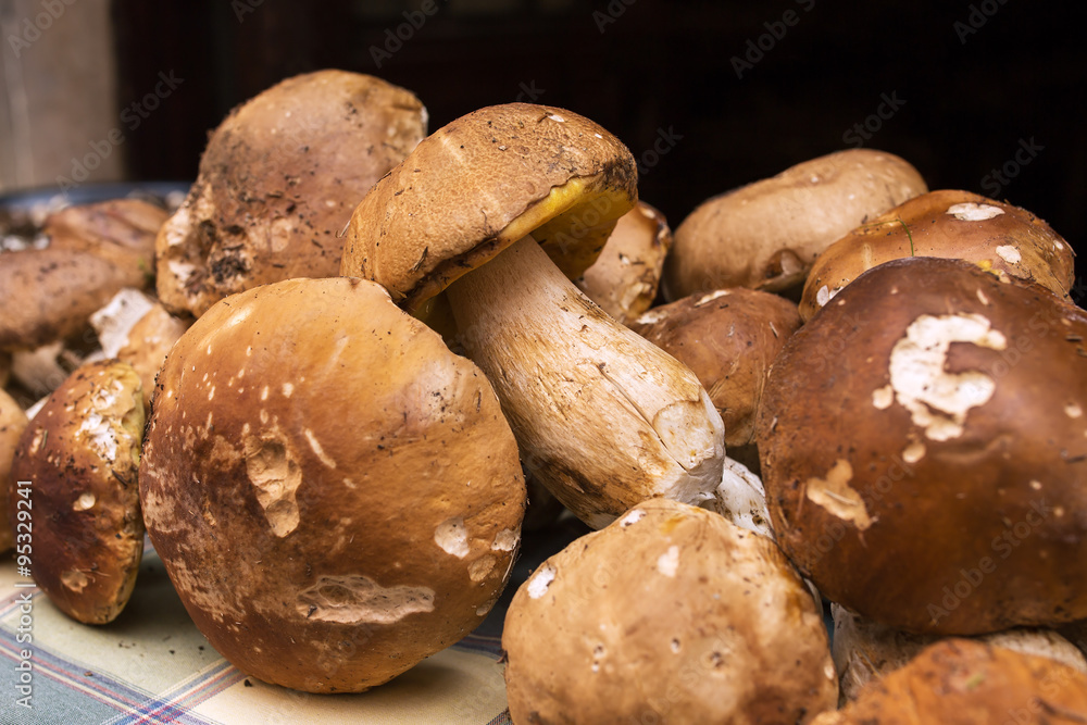 Close up bunch of Porcini mushrooms at the market in Italy Close up bunch of Porcini mushrooms at the market in Italy