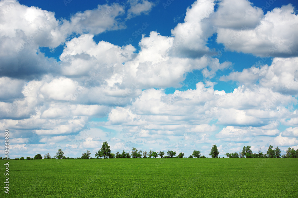 Spring. Meadow with green grass and blue sky with clouds Spring. Meadow with green grass and blue sky with clouds