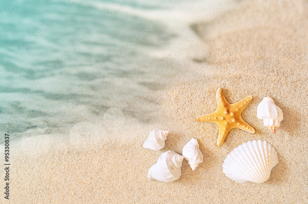 Starfish on the beach. Summer beach. Starfish on the beach. Summer beach.