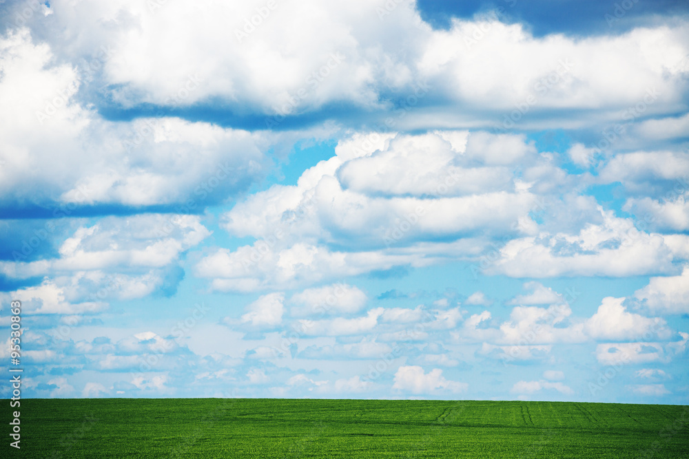 Field of fresh green grass and beautuful sky Field of fresh green grass and beautuful sky