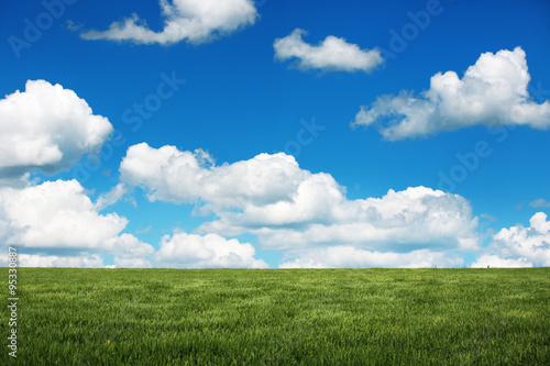 Fresh green grass and fluffy clouds over the field