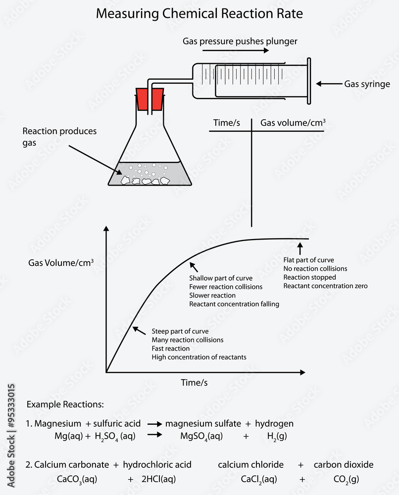 Labeled diagram for chemical reaction rates Stock Vector ...