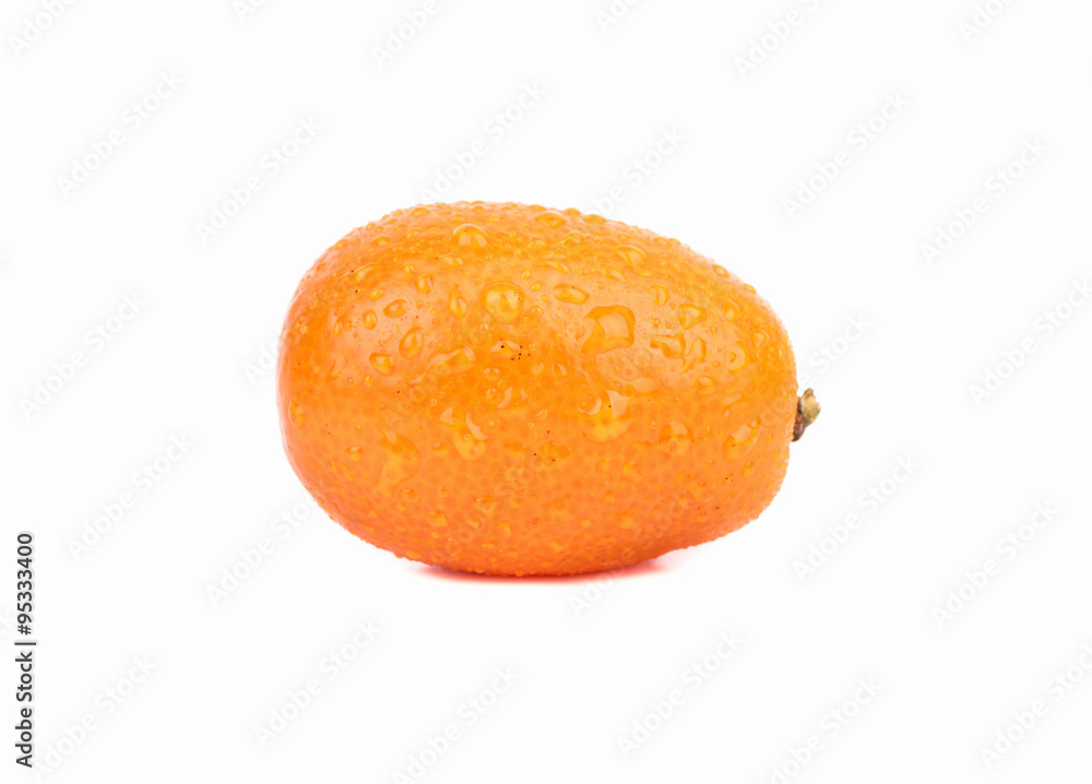 Kumquat Kumquat