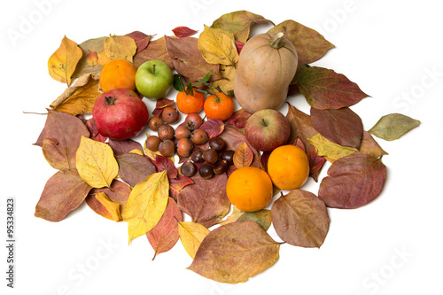 A table of autumn fruits photo