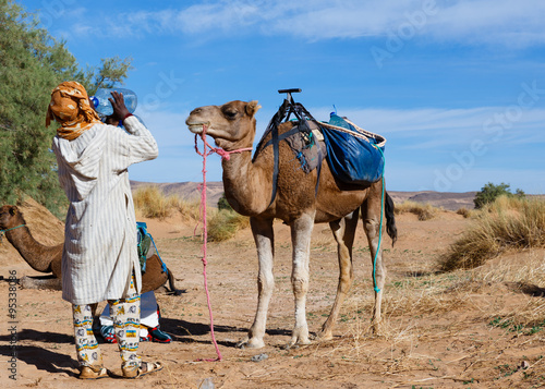 camel and Berber drinking water