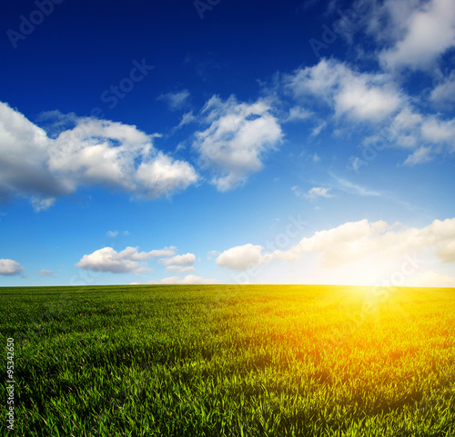  field and sun