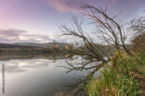 Early morning view of calm lake with withered tree