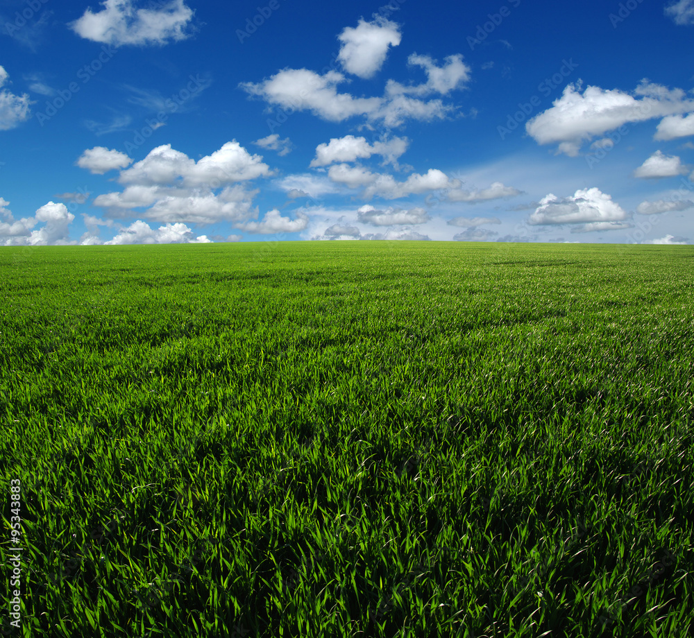 green field green field