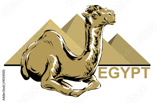 camel color