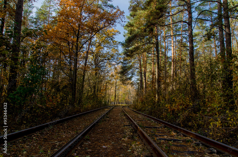 When the way goes through the forest When the way goes through the forest